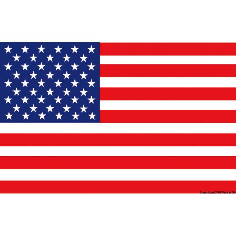 FLAG - THE USA