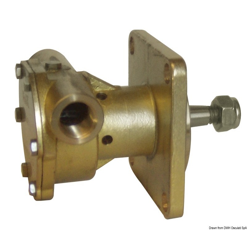 NAUCO 324485-TYPE PUMP